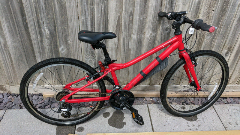 Carrera Saruna Junior Hybrid Bike - 24 
